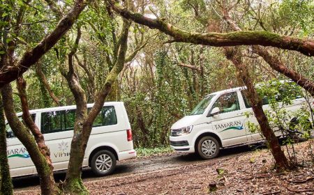 la-laguna-anaga2_1920x690