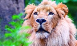 loro-parque_1920x690