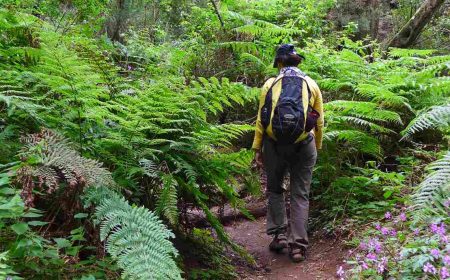 maerchenwald_1_1920x690