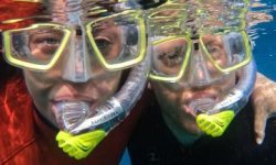 schnorcheln_600x216_featured