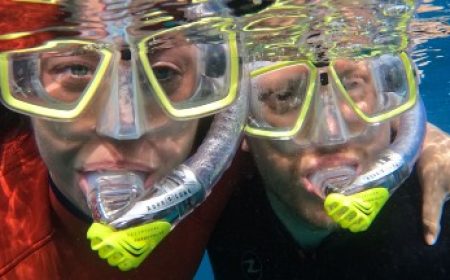 schnorcheln_600x216_featured