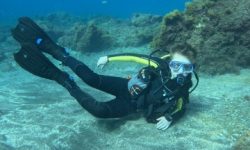 schnuppertauchen_600x216_featured