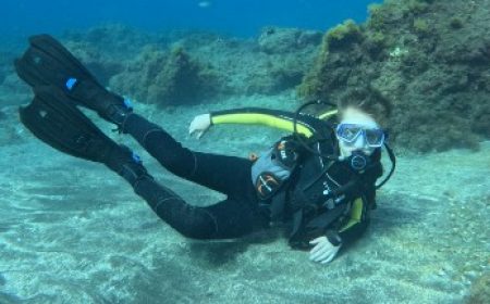 schnuppertauchen_600x216_featured