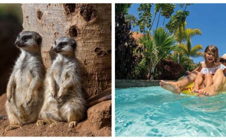 twin_ticket_siam_loro_1920x690