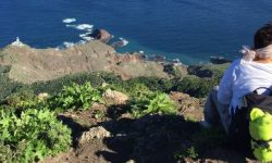 wanderung_anaga_maerchenwald_600x217_featured