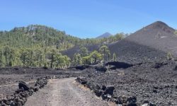 wanderung_historische_vulkane_600x217_featured