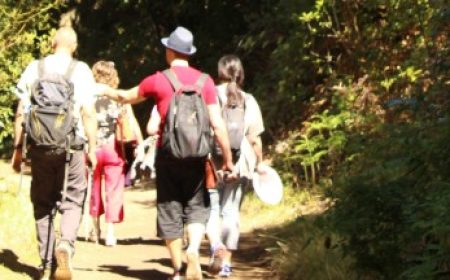 wanderung_la_laguna_anaga_600x216_featured