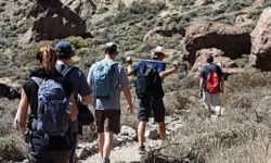 wanderung_teide_light_600x216_featured