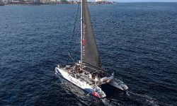 whale_eco_boat_600x217_featured_neu