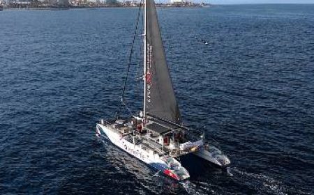 whale_eco_boat_600x217_featured_neu