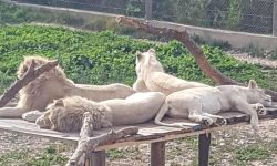 friguia_park_1_1920x690