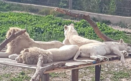 friguia_park_1_1920x690