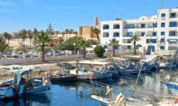 insel_kuriat_featured_600x216