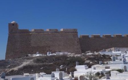 mahdia_premium_600x217_featured_neu