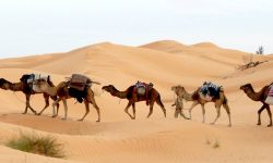 suedtunesien_bergoasen_1_1920x690