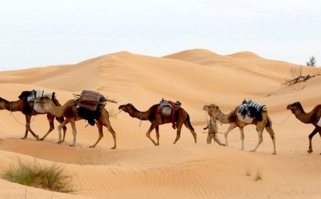 suedtunesien_bergoasen_1_1920x690