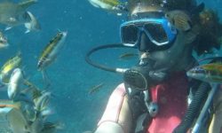 tauchen_schnorcheln_featured_600x216