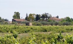 wasser_wein_roemerstaedte_1_1024x368