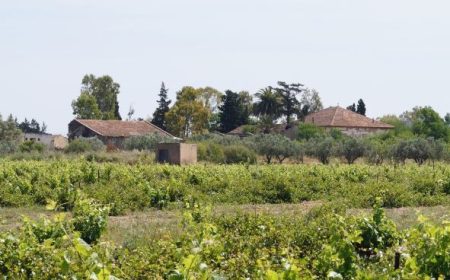 wasser_wein_roemerstaedte_1_1024x368