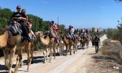 wuestenschiff_1_1000x359