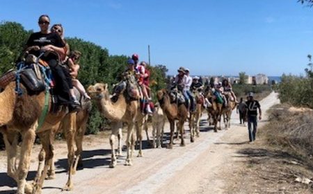 wuestenschiff_1_1000x359