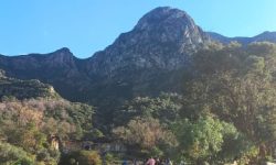 zaghouan_featured_600x216