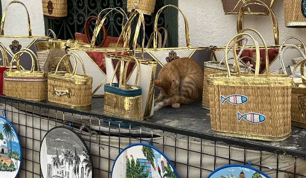 Mahdia Premium – Bild 3