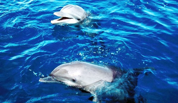 Piratenschiff – Bild 2