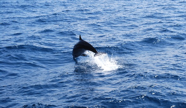 Piratenschiff – Bild 4