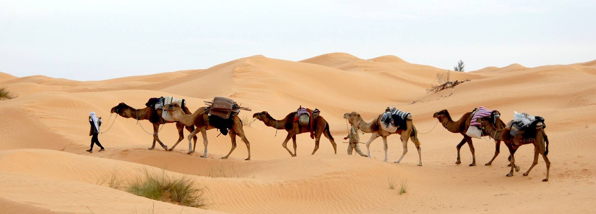 Südtunesien mit Bergoasen