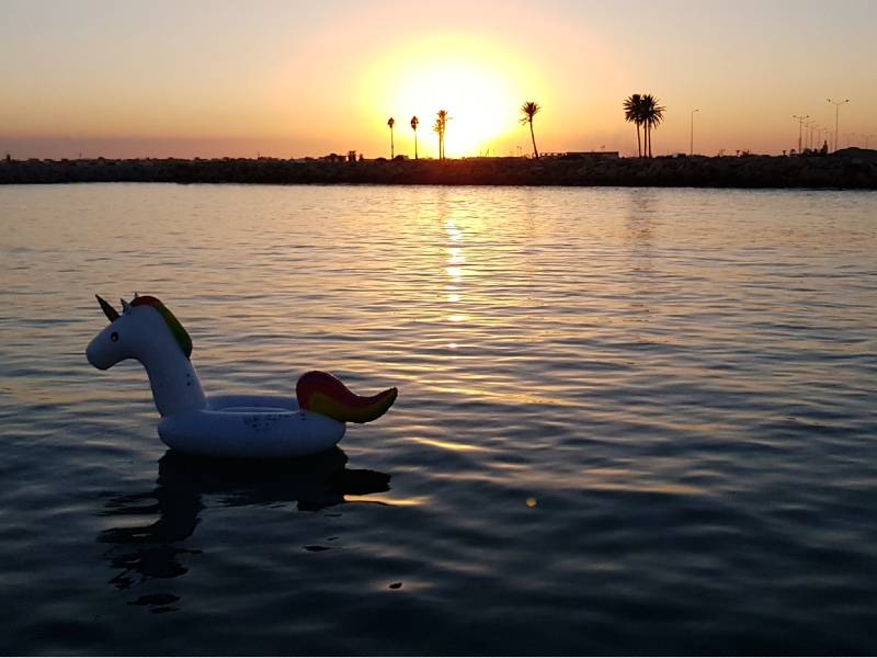 Sunset Mahdia – Bild 5