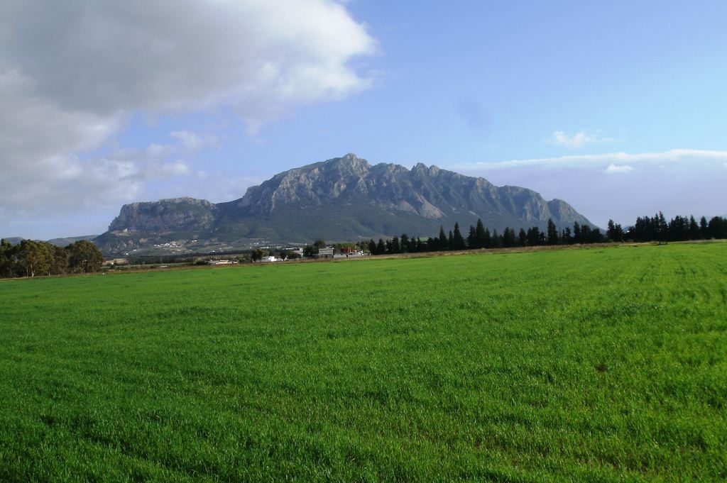 Römerstädte: Thuburbus Majus, Oudhna und Zaghouan – Bild 4