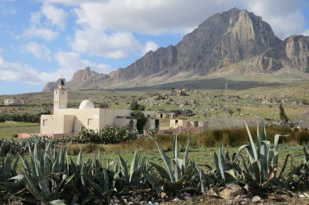 Römerstädte: Thuburbus Majus, Oudhna und Zaghouan – Bild 3