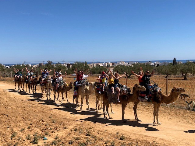 Wüstenschiff – Bild 4