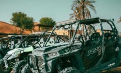 mega_safari_dunes_featured_600x216