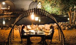 platinum_dinner_safari_featured_600x216