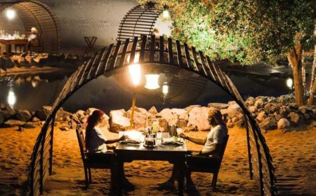 platinum_dinner_safari_featured_600x216