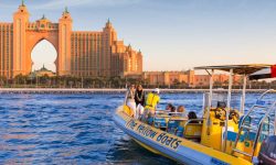 yellow_boats_featured_600x216