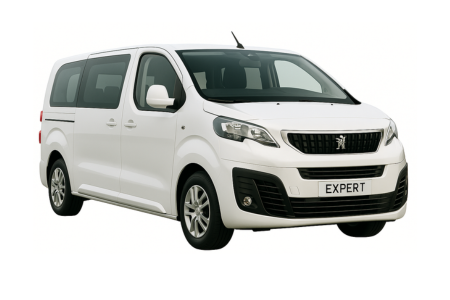 Peugeot Expert (oder ähnlich)