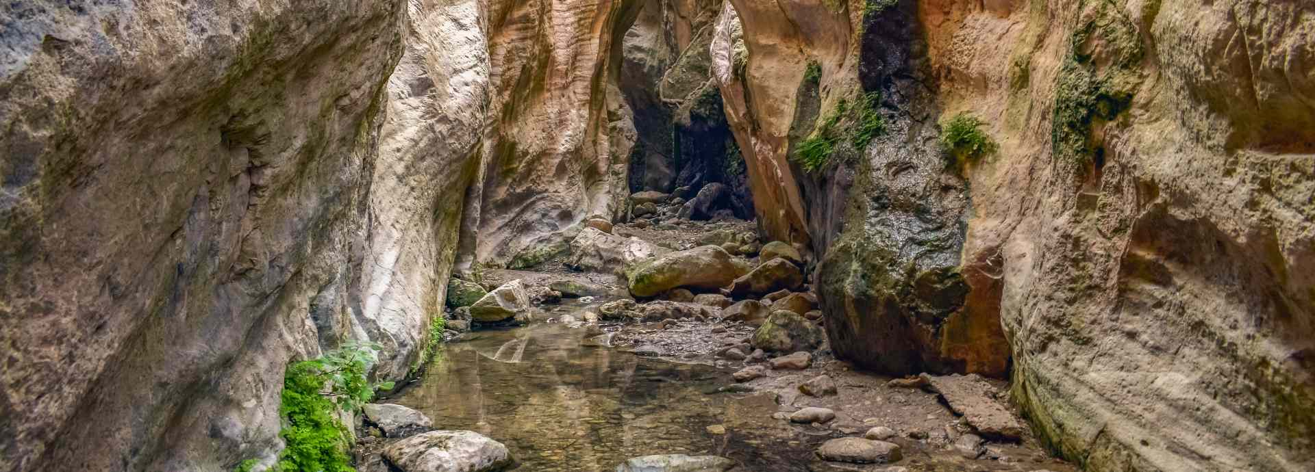 Jeep-Tour: Akamas-Halbinsel - halbtags – Bild 7