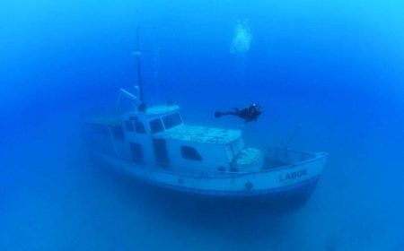 tauchen_cydive_4_1280x854-1