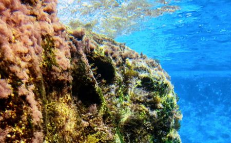 transdivers_tauchen_1_1920x690