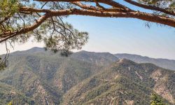 zypern_pur_1_1920x690