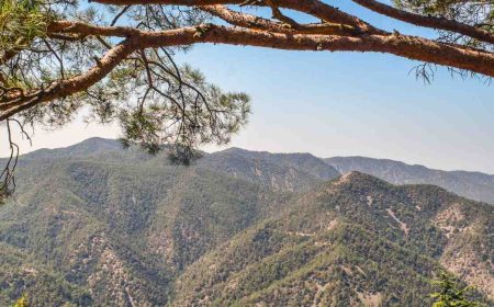 zypern_pur_1_1920x690